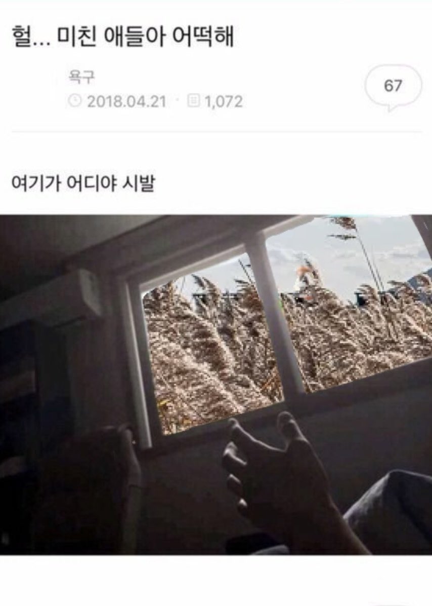 말자 tweet media