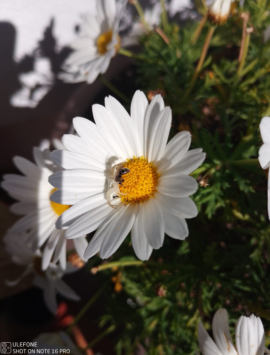 Exodust13 tweet media