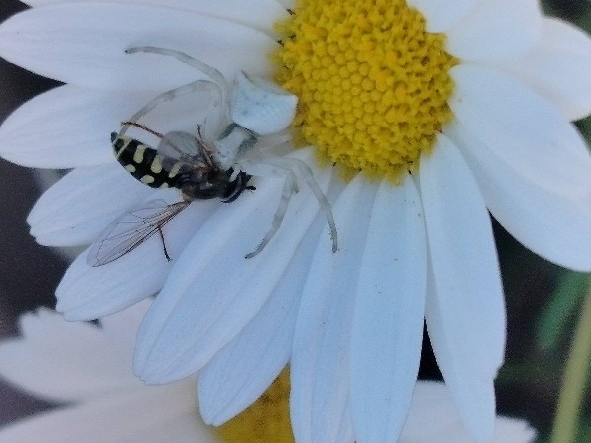 Exodust13 tweet media