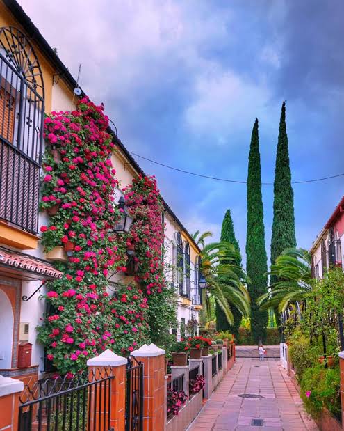 د.وليد الحسيني tweet media