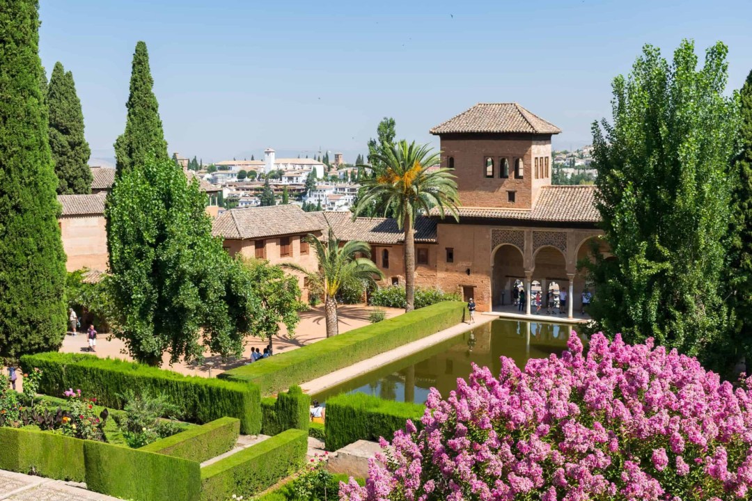 د.وليد الحسيني tweet media