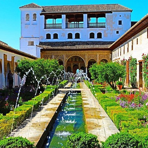 د.وليد الحسيني tweet media