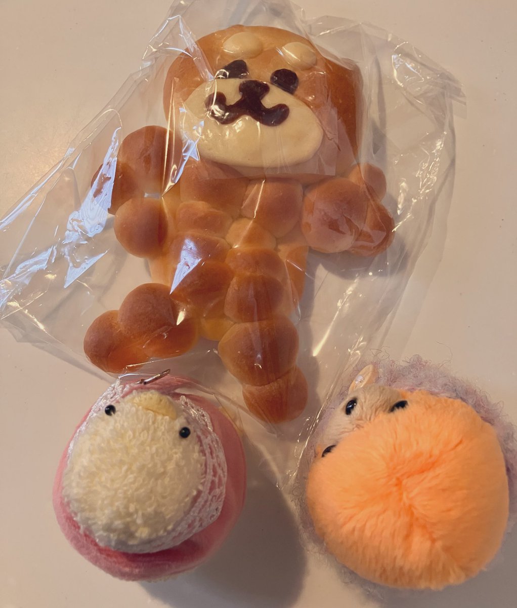 はるのえ tweet media