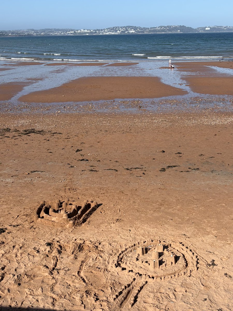 leo 🐛 tweet media