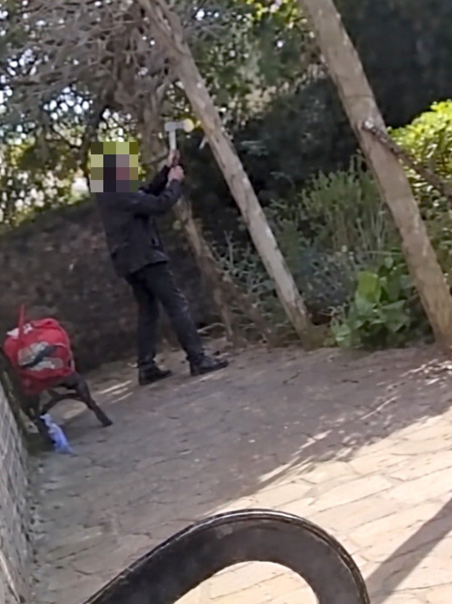 Your Southend tweet media