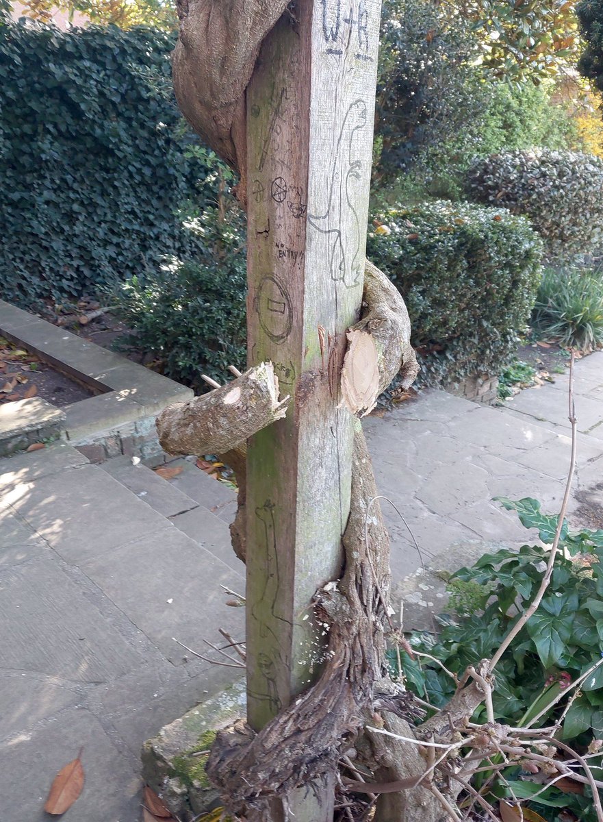 Your Southend tweet media