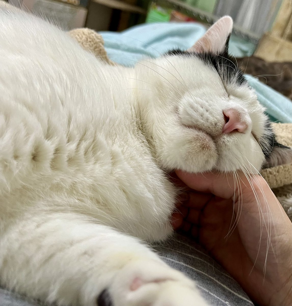 やまひと tweet media