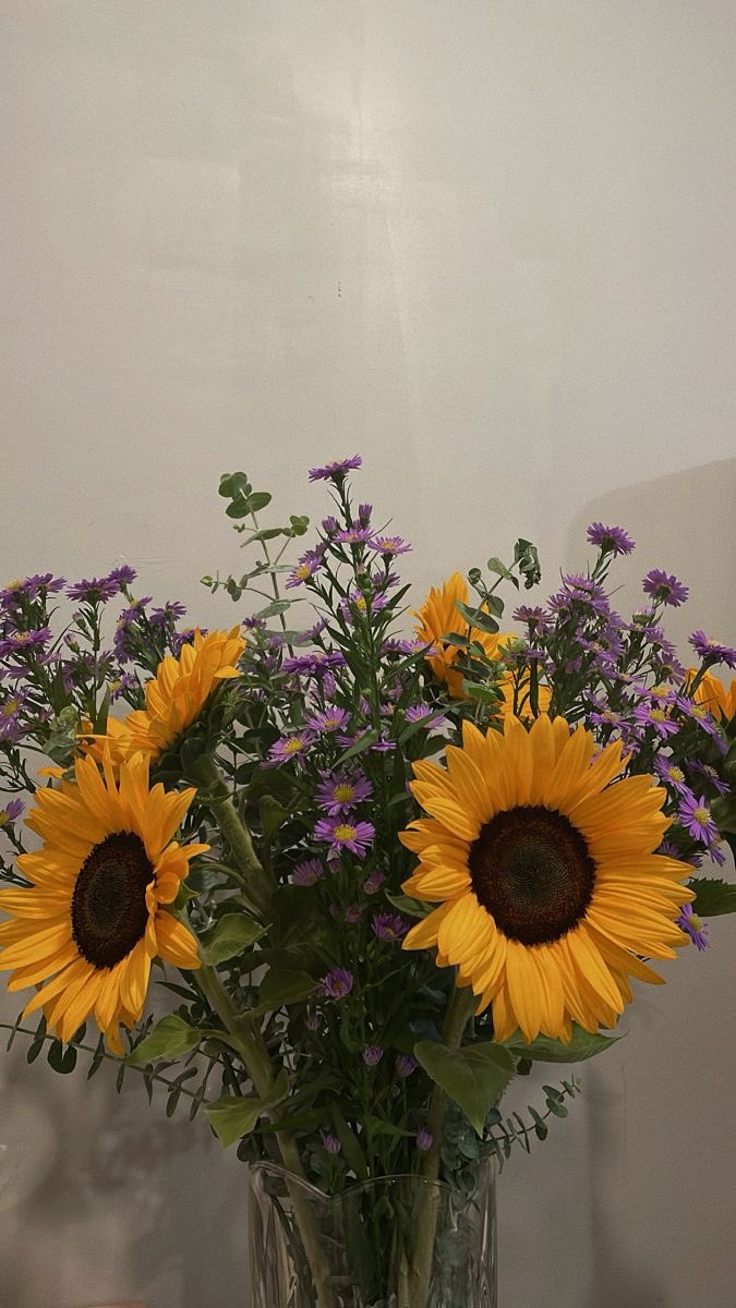 Nitika Sharma tweet media