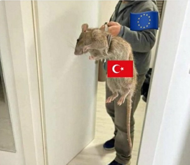 🇬🇷Nick the Greek 🇬🇷 tweet media