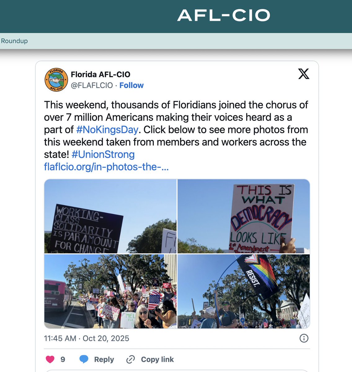 Gypsy Freedom Fighter tweet media