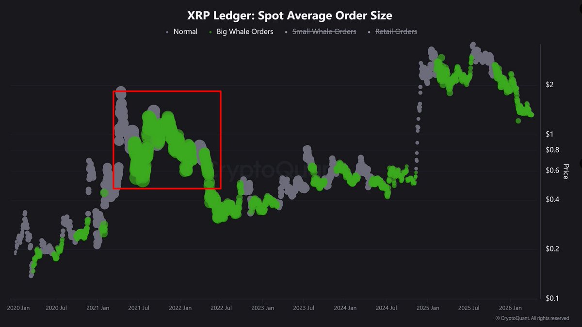 Dr Satoshi tweet media