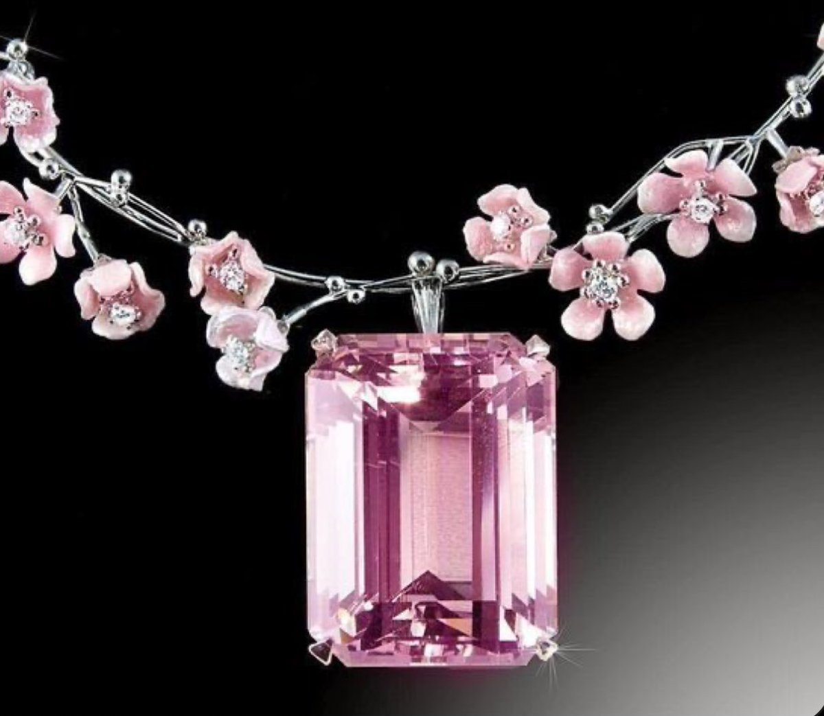 Elle Lookbook tweet media