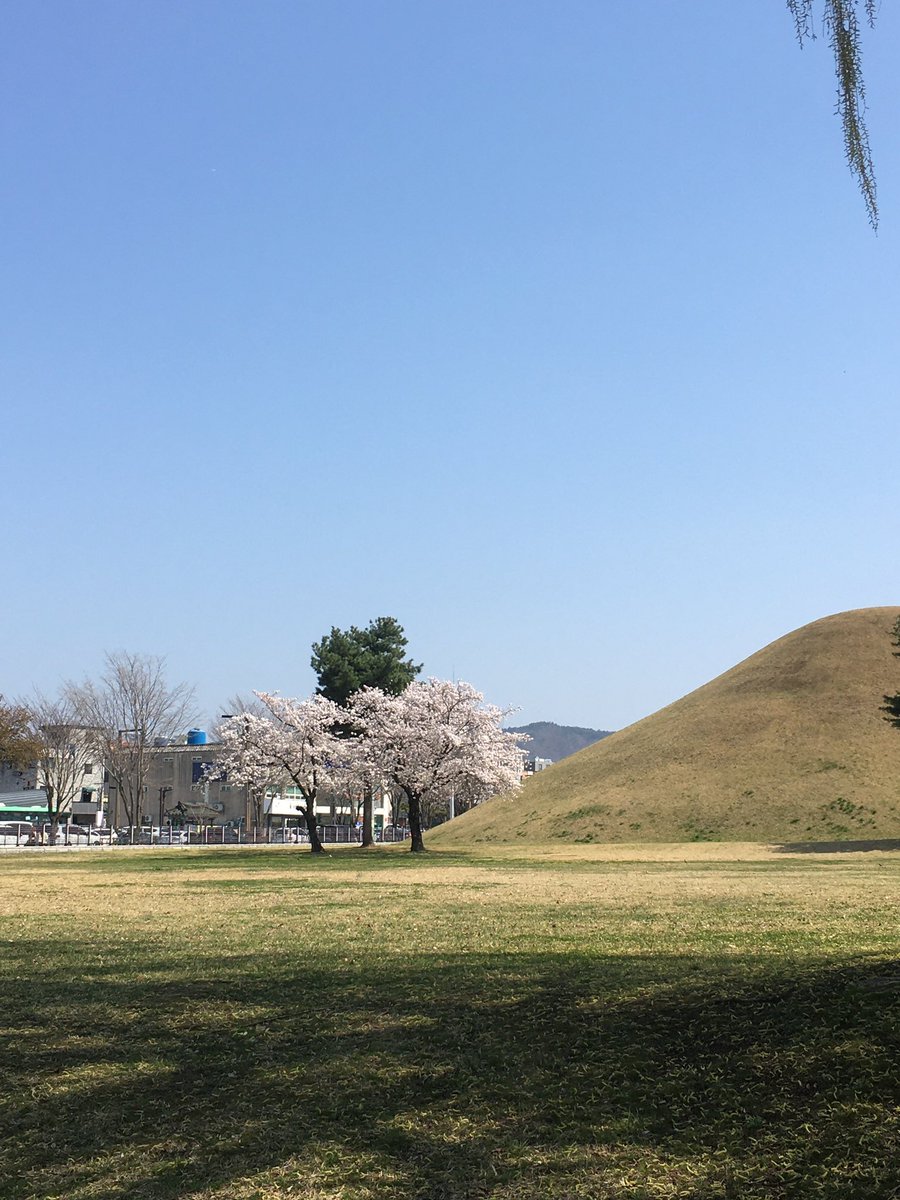 🌰💢 tweet media