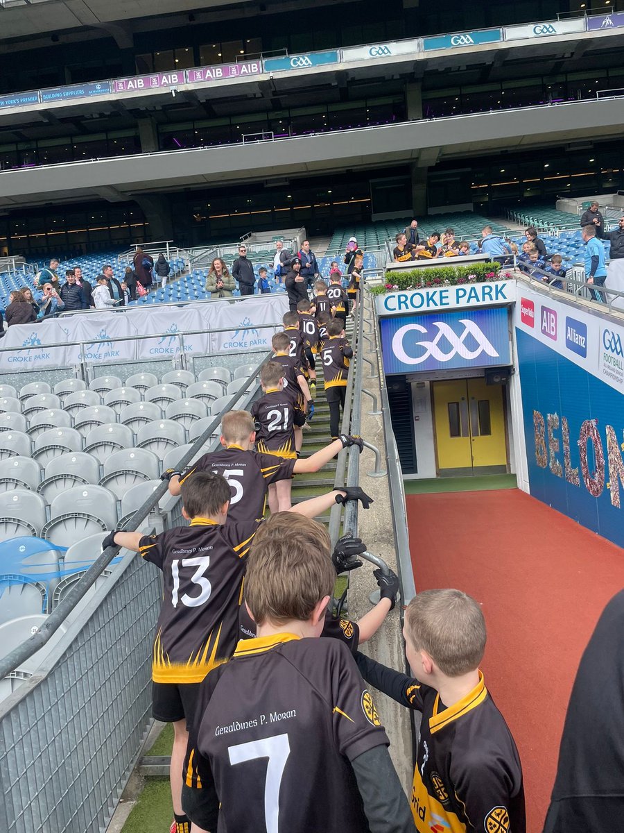 Geraldines P. Moran GAA 💛🖤 tweet media