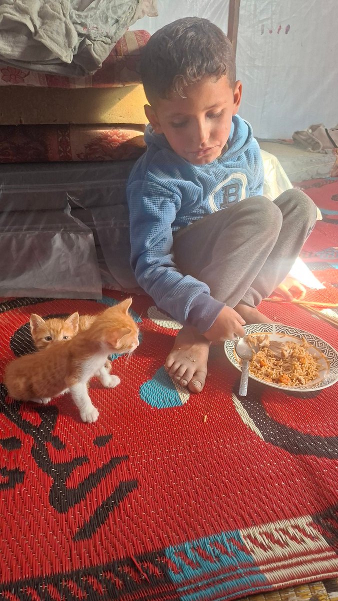 Youssef Saeeid🫀🇵🇸 tweet media