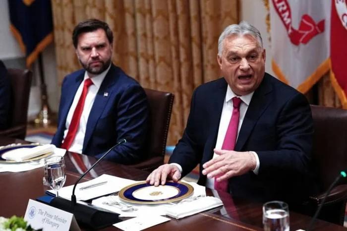 Lazz Lazz tweet media