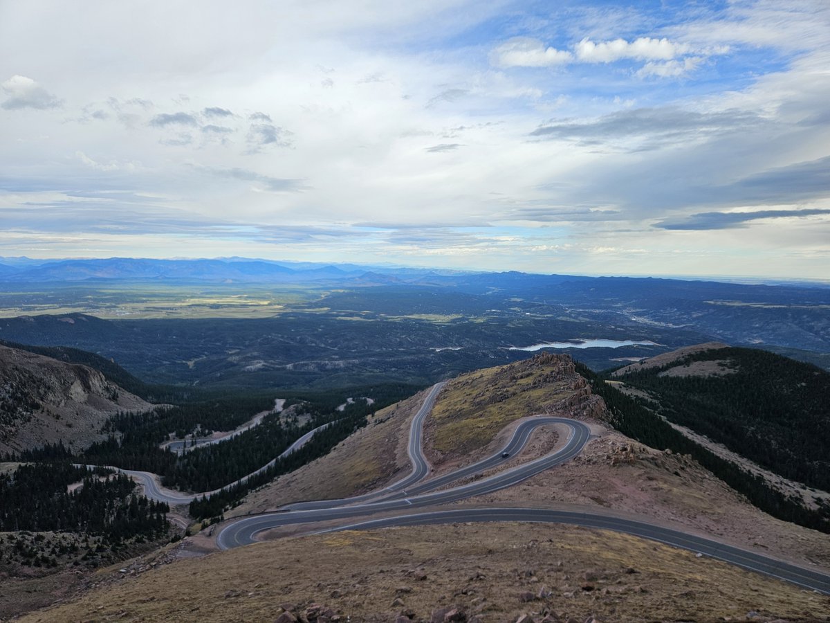 tim grimm tweet media