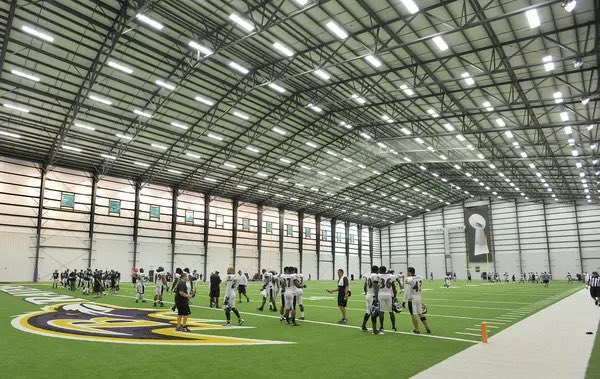 D ⚡️ tweet media