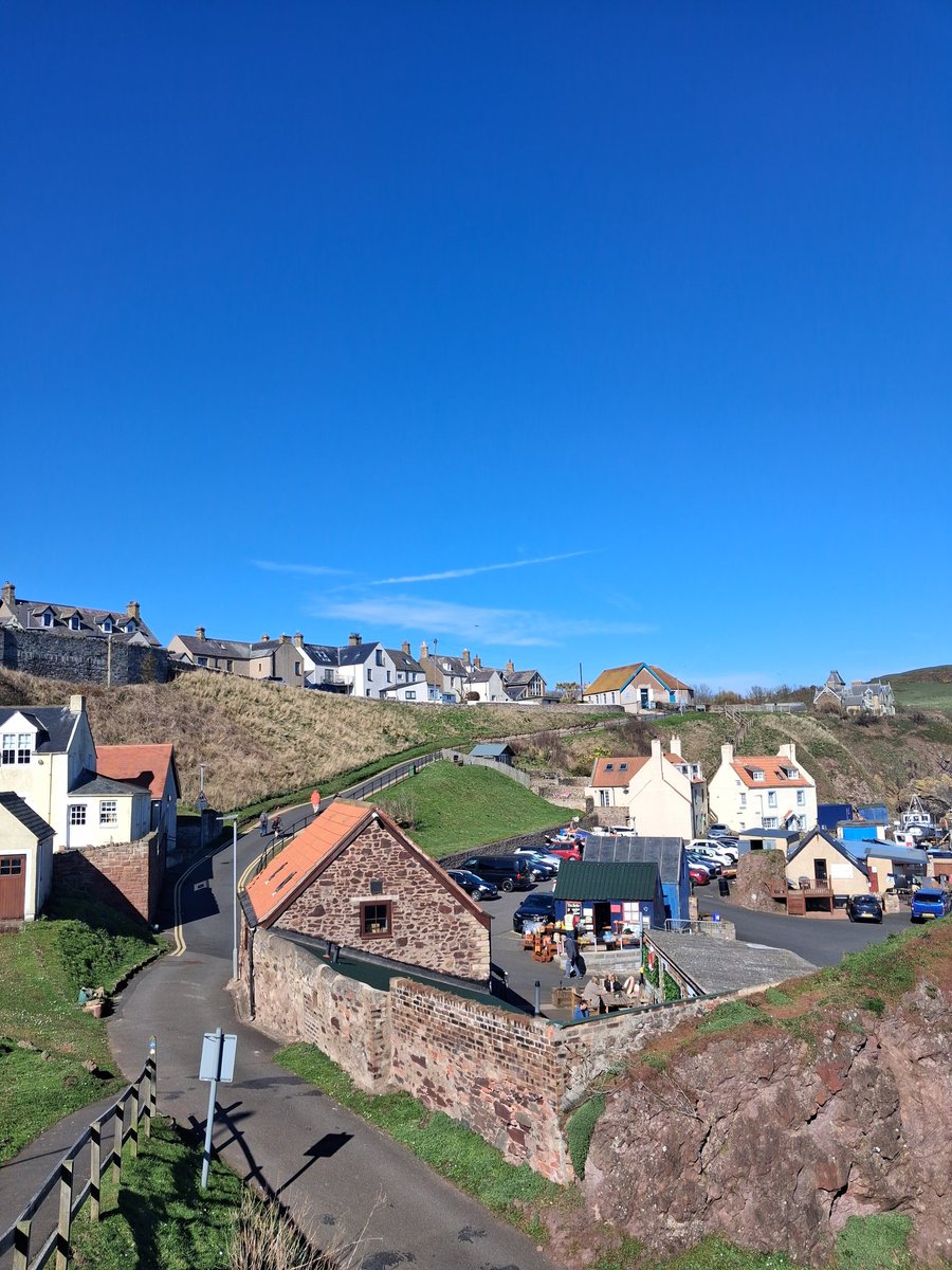 Cumbrian White tweet media