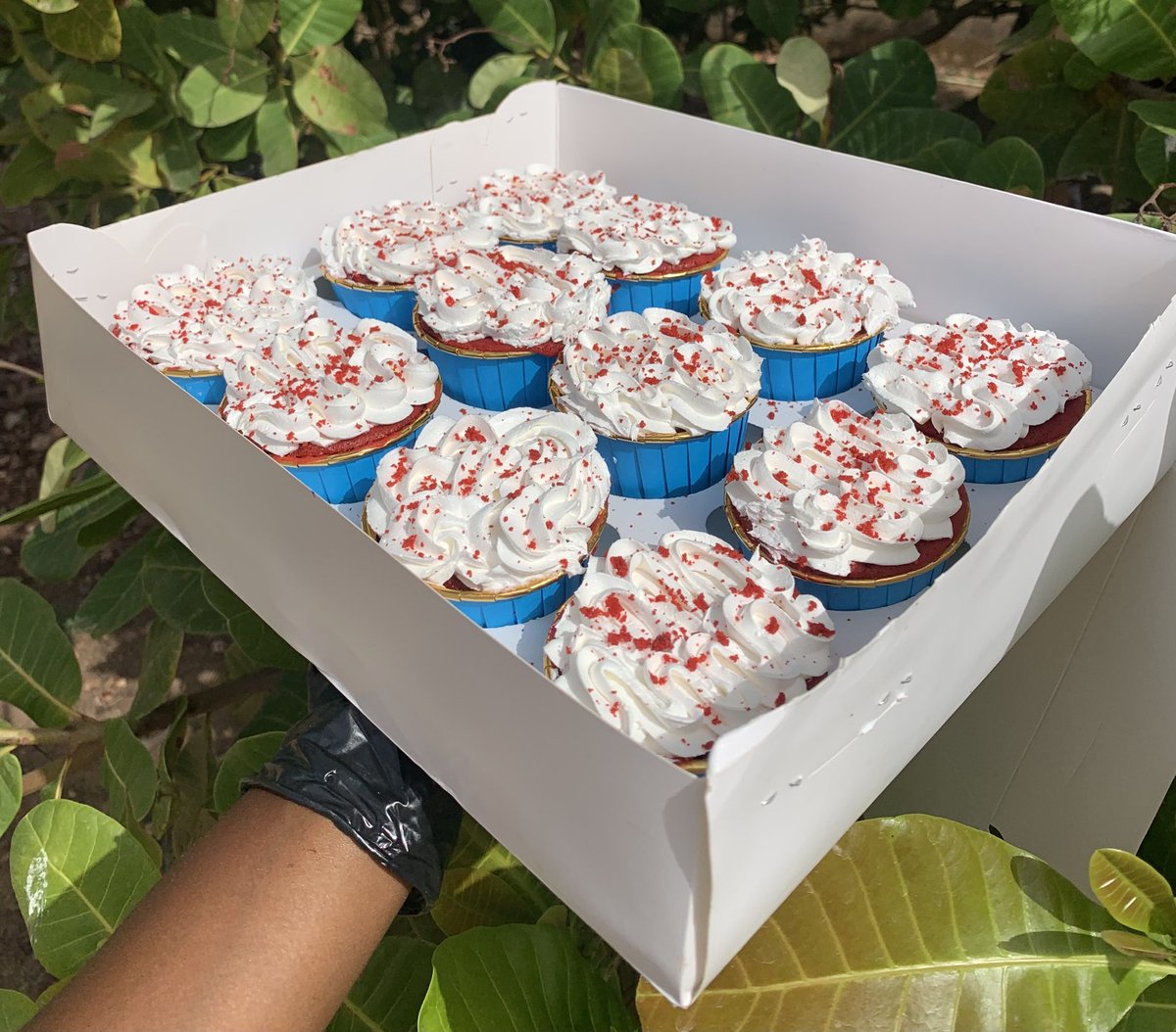 She_Is_Khosi's tweet image. Longtime no cupcakes🥹💙

We’re taking orders my helpers☺️🫴🏽

Price~18k for Redvelvet 
16k for vanilla 
Box of~12
Frosting~whipped cream 

Location~Jos,State low cost 

#Sweet_escape_with_khosi #cupcakes #cakesinjos