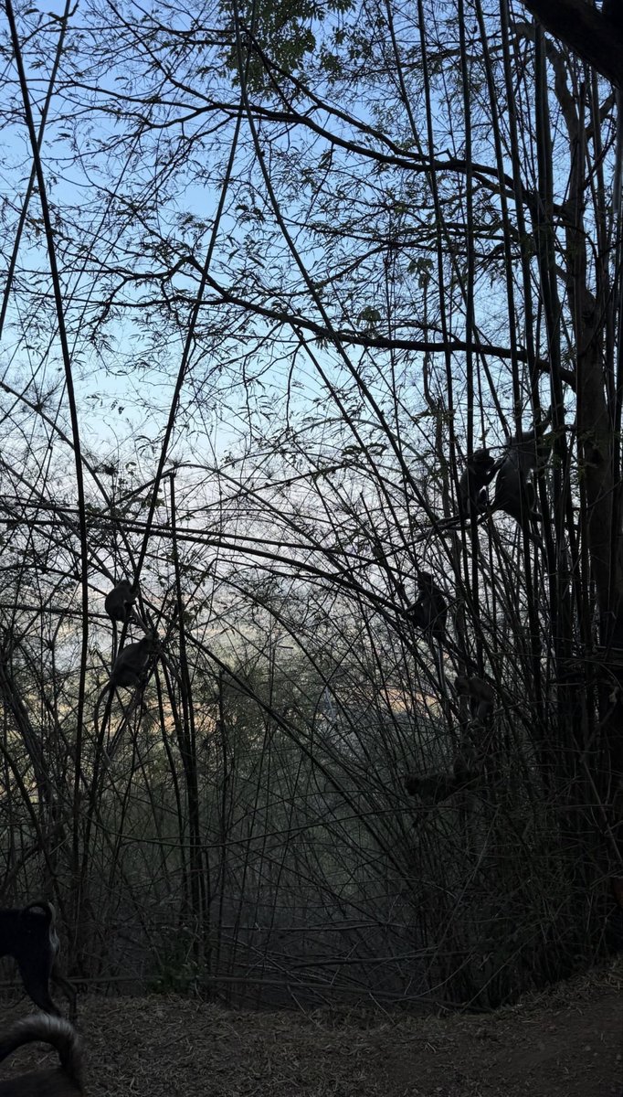 Build_Family FC tweet media