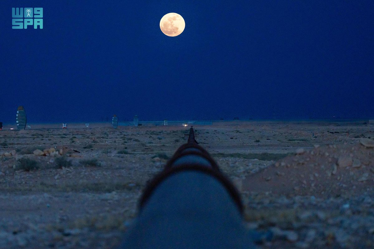 ديك الجن.. الذئب الساري سابقاً.. tweet media