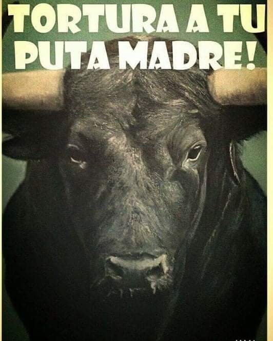 mikel 🔻 tweet media