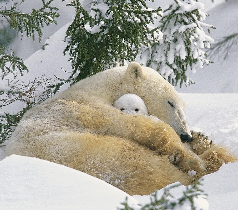 Jeff Smith tweet media