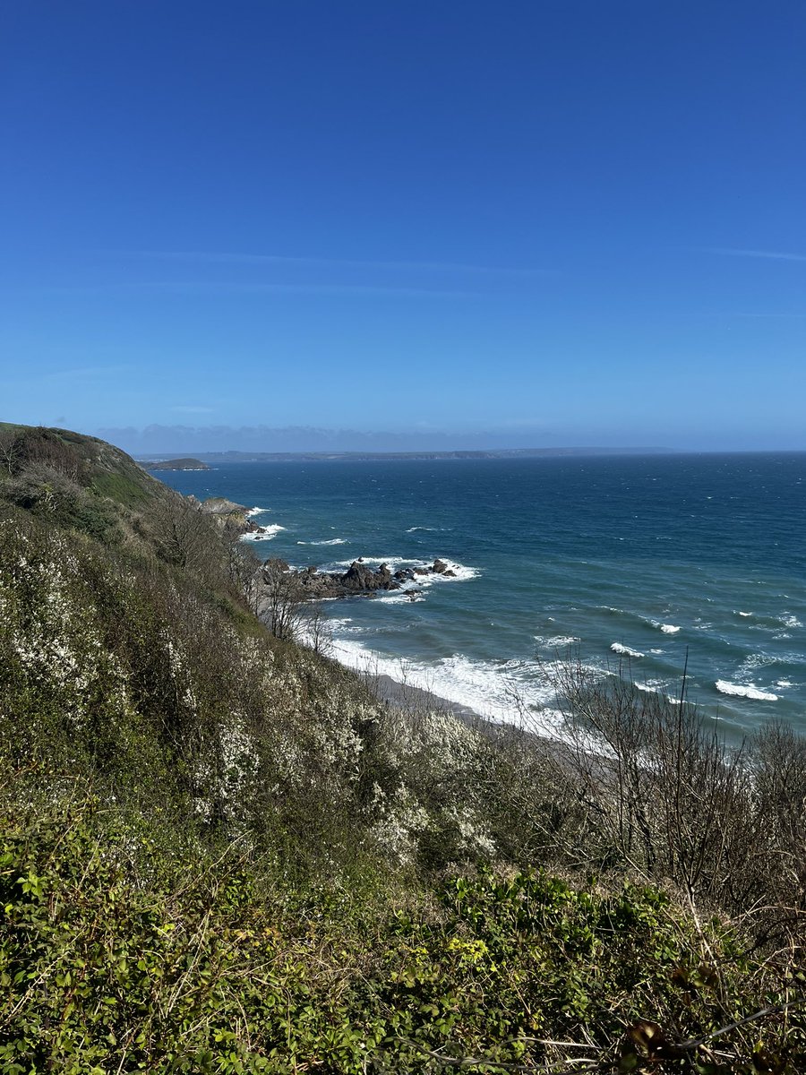 Thomas Pigg tweet media