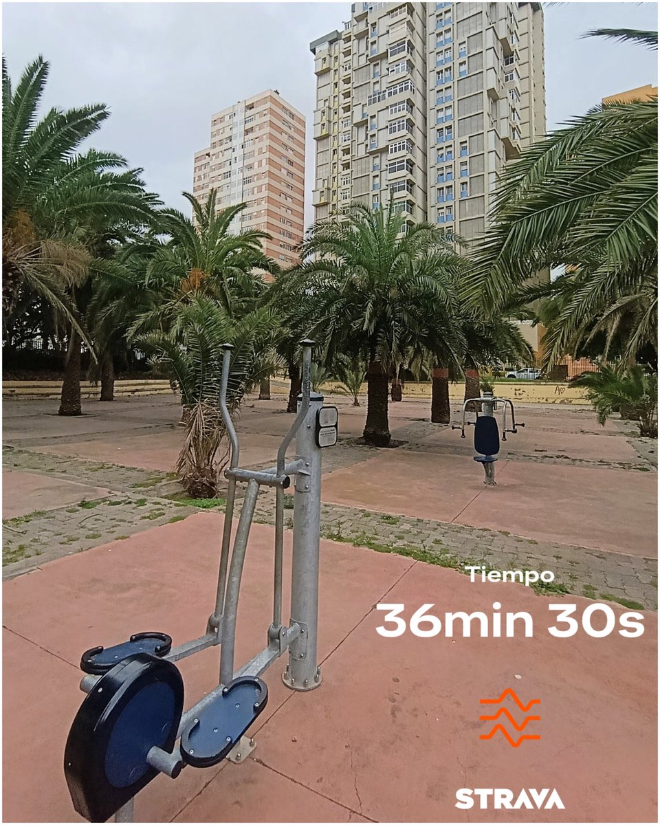 BiciGranCanaria's tweet photo. #GYM #Gimnasio
Elíptica⏱️ 35'🦵🏻💪🏻📈
🌴#JardinesBuenavista
#Elliptical #Elíptica #MuscleExerxises
#TrabajoMuscular #Musculación
#LEGSSexercises #EjerciciosPiernas
#ARMSexercises #EjerciciosBrazos
#GYMexerxises #GYMtime
#GYMworkout #GYMmachine
#OutdoorsFitness #GYMalAireLibre https://t.co/ztjVz3WlcL