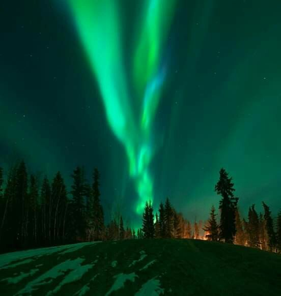 alasca vivi out of context tweet media