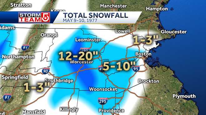 Steve Bee tweet media