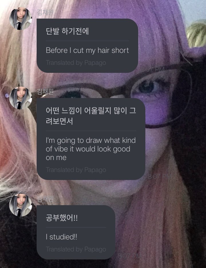 June 🐶 tweet media