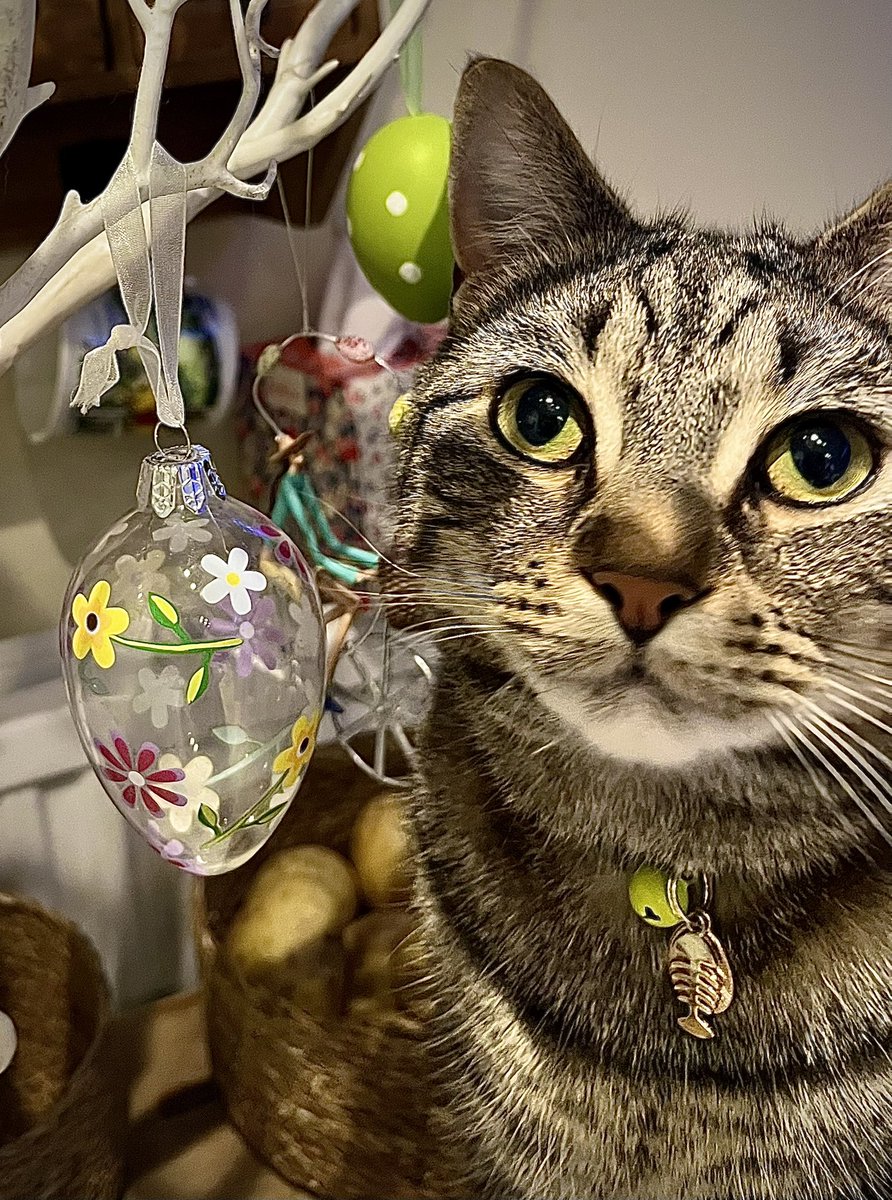 Malcolm & Baby Dog tweet media