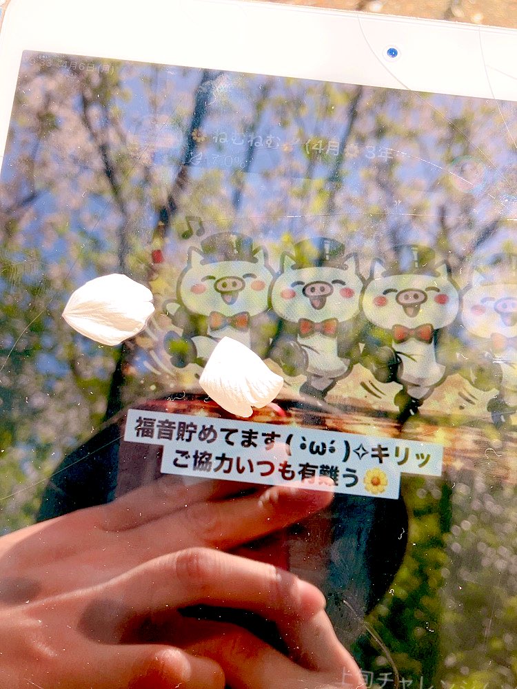 🌼ねむ▓‹:) むーみん( ｰ̀εｰ́ )🌻 tweet media