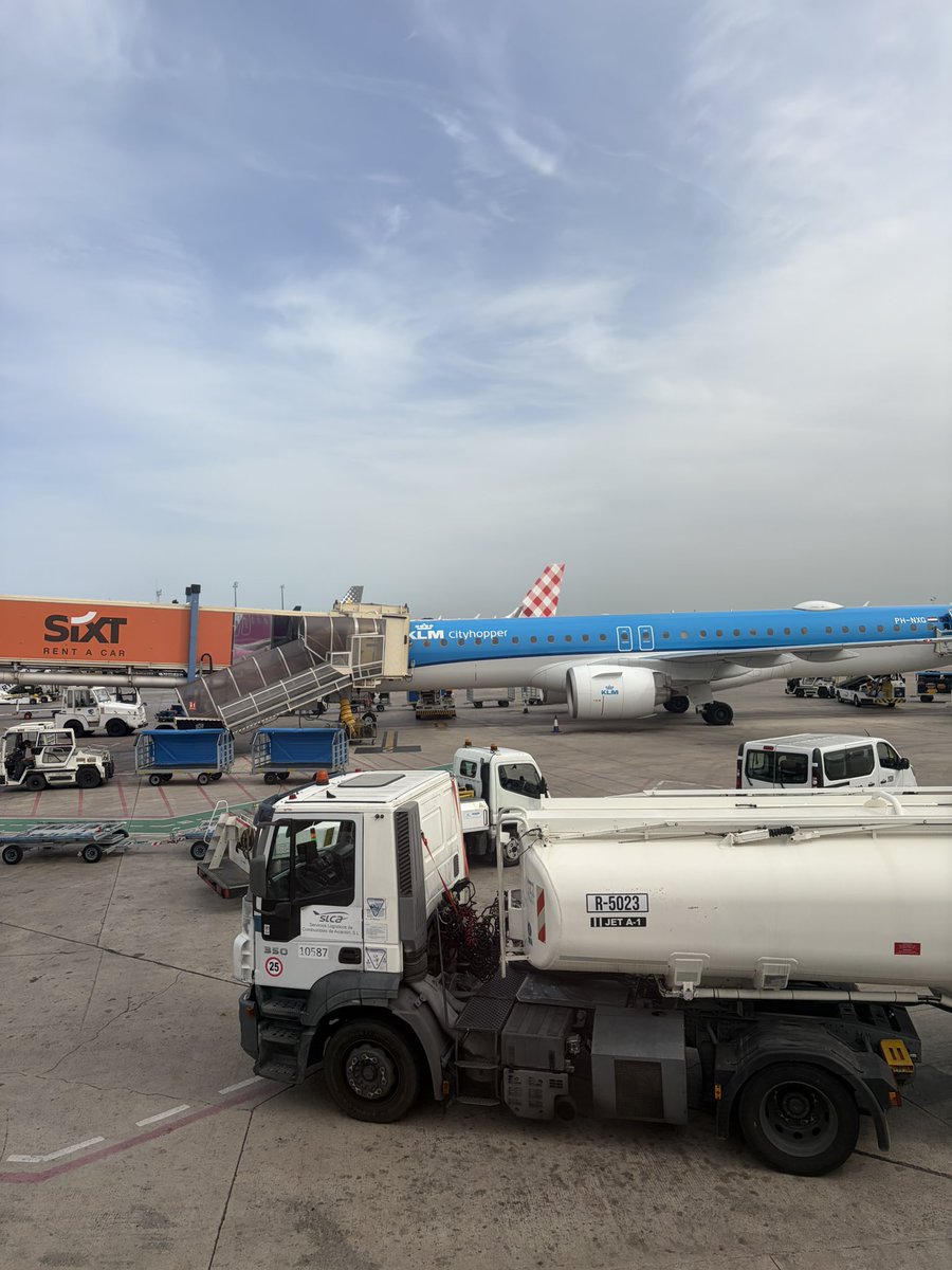 Camilla Conti tweet media