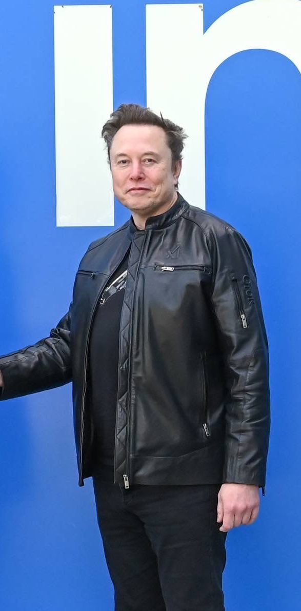 DogeDesigner tweet media