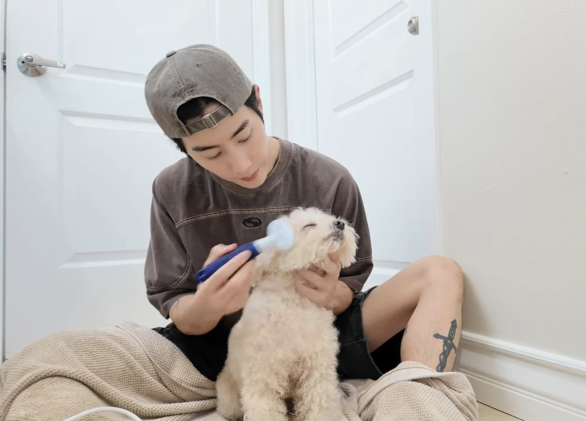 半半Qryos tweet media