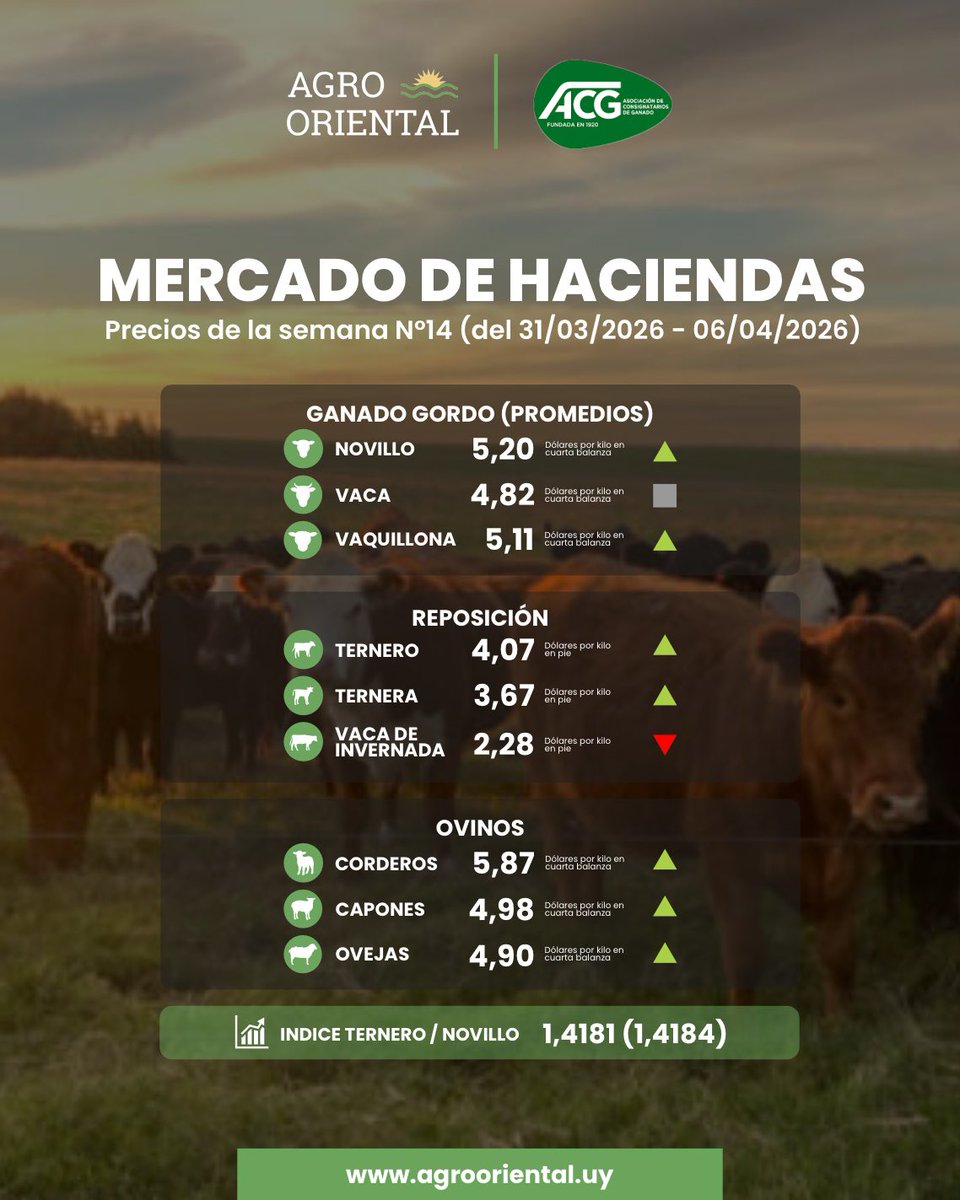 Agrooriental tweet media
