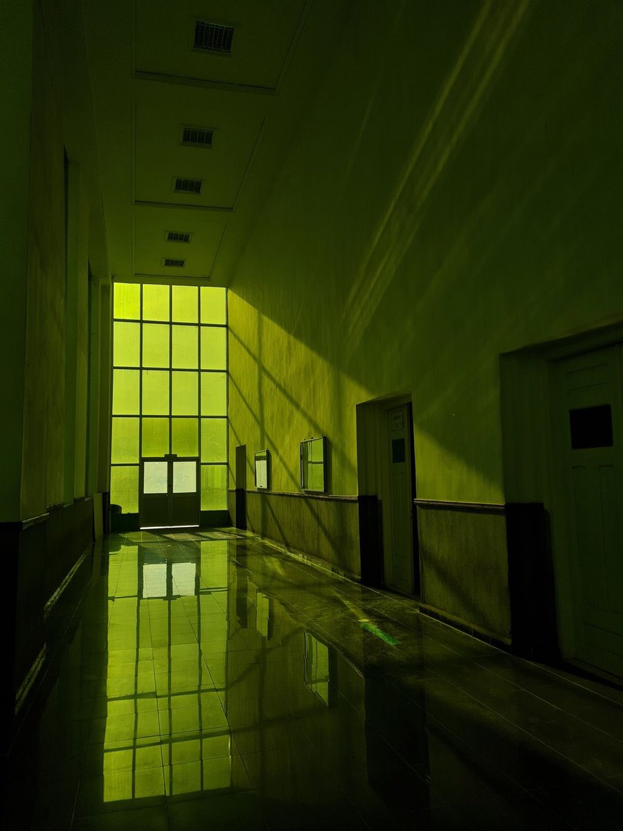 왜그살 tweet media