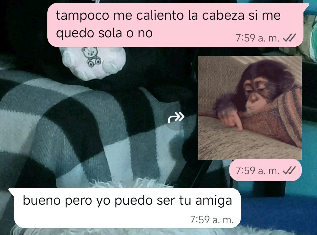 ꒰ frann!? tweet media