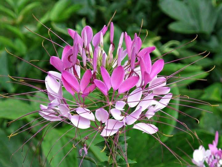 Roy Kelley tweet media