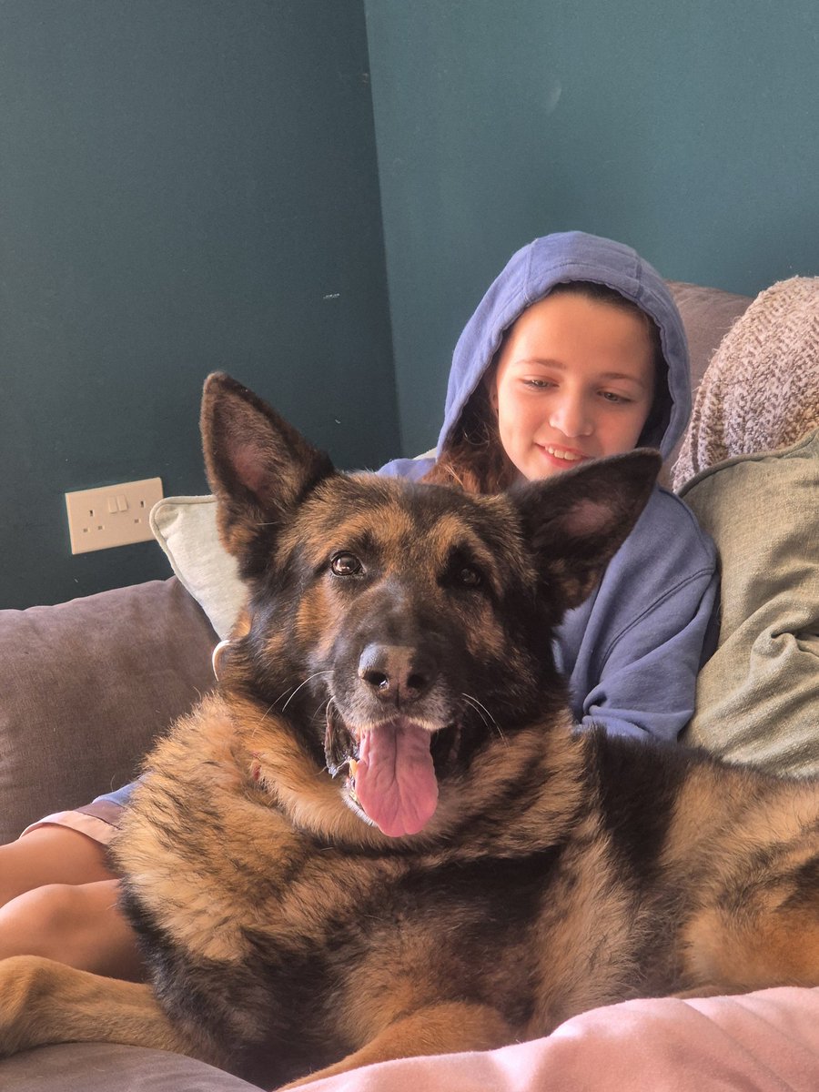 RPD Pacer tweet media