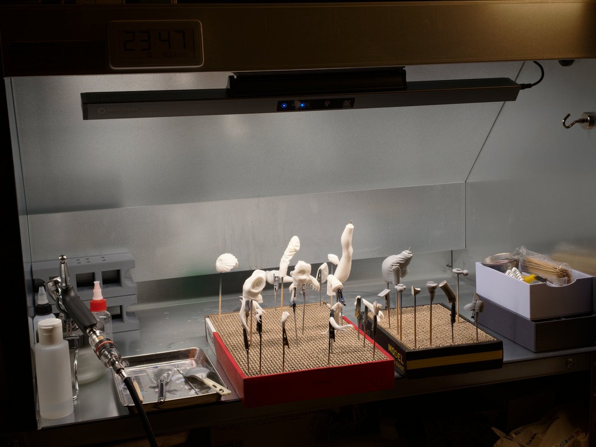 ぼり㌠🐴 tweet media