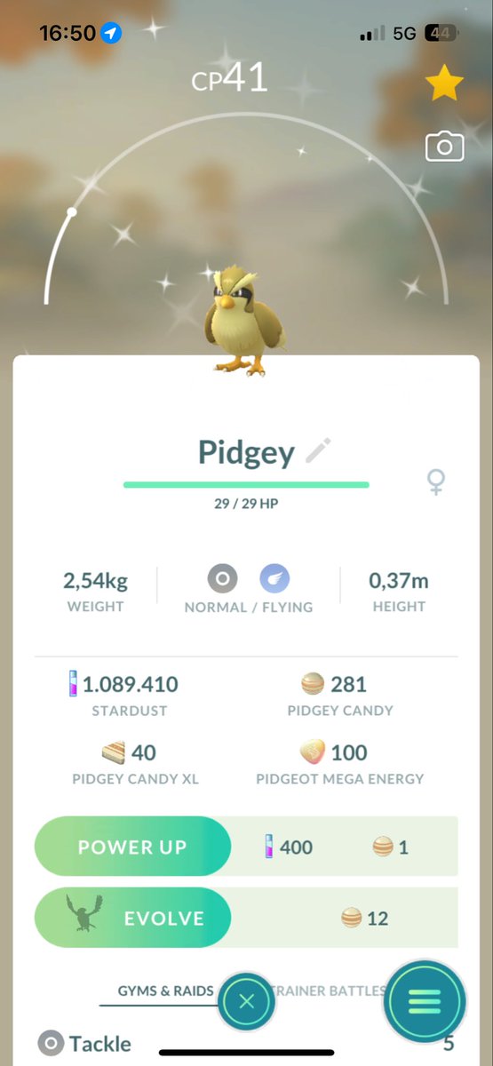 dontmindme66's tweet photo. Clicked this shiny away at first because of how similar it looks to a regular pidgey! #shiny #pokemongo #pidgey https://t.co/VOSvNC2Amm