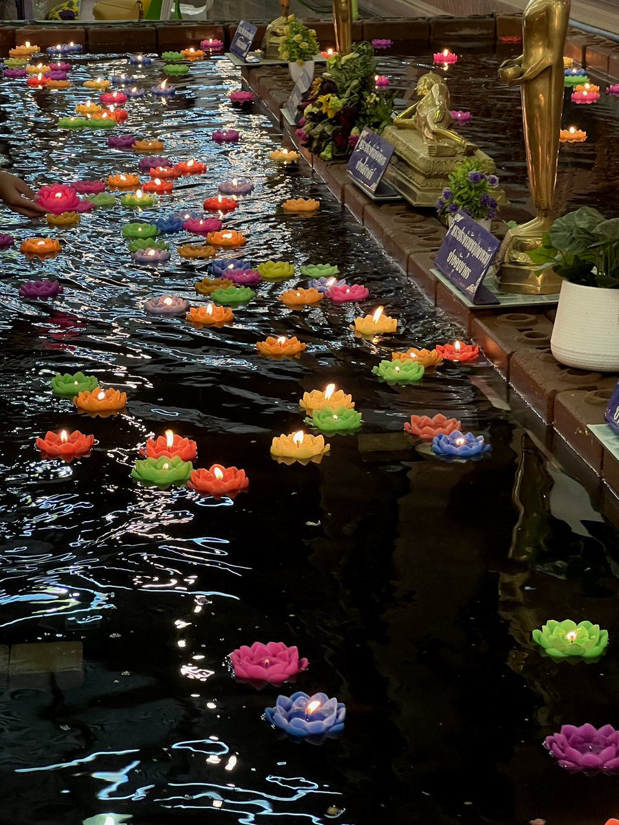 Ottoottoo tweet media