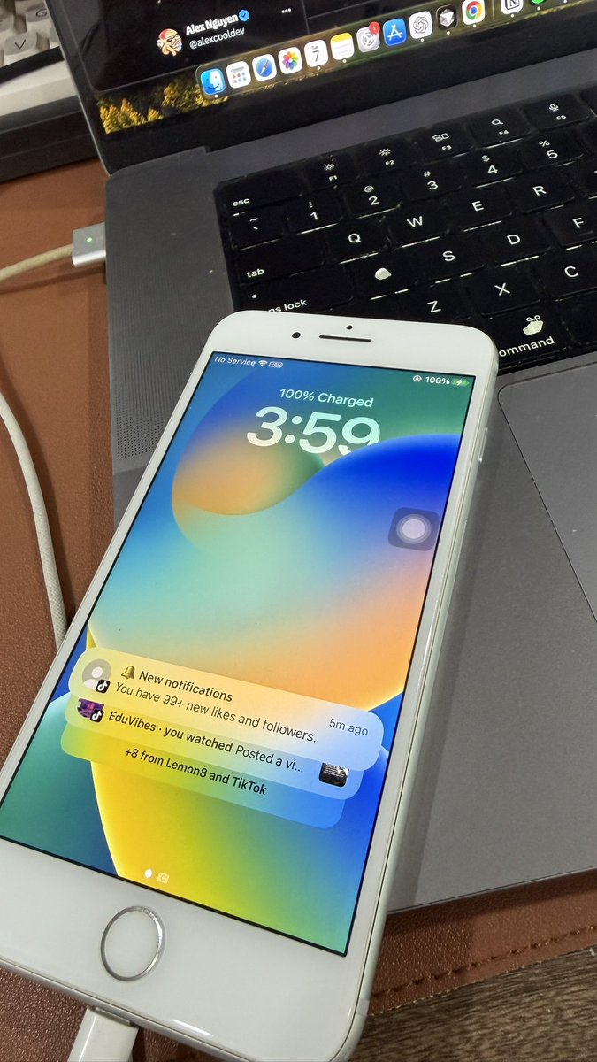 Alex Nguyen tweet media