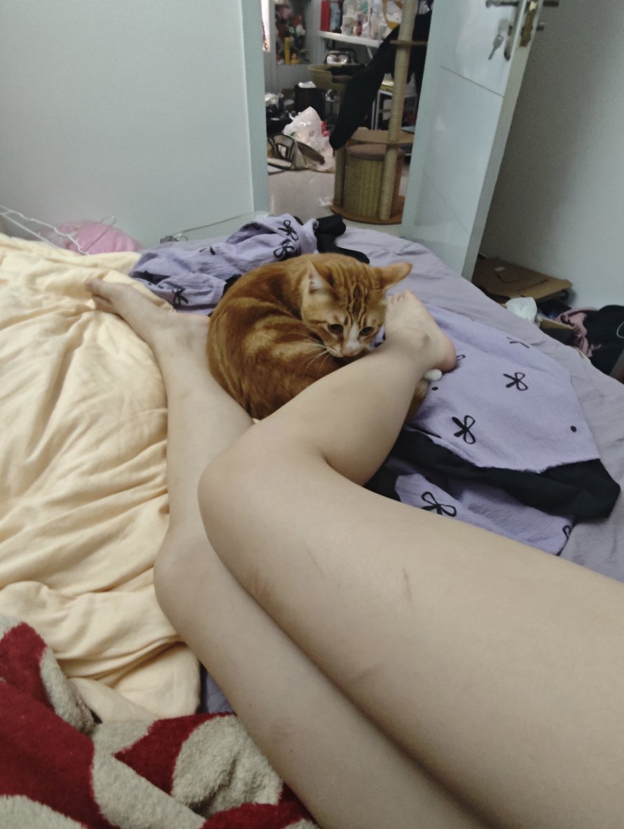 邪恶tomato tweet media