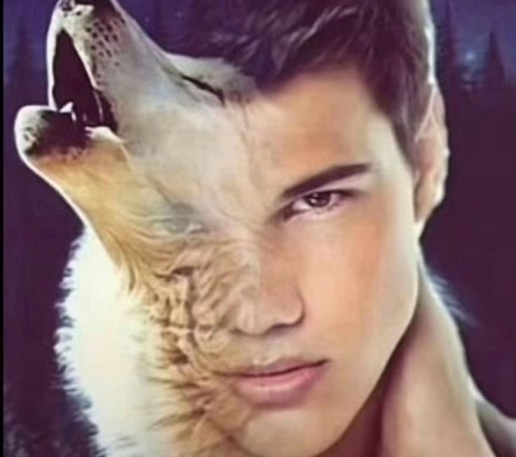 sam .🧊 ݁˖ tweet media