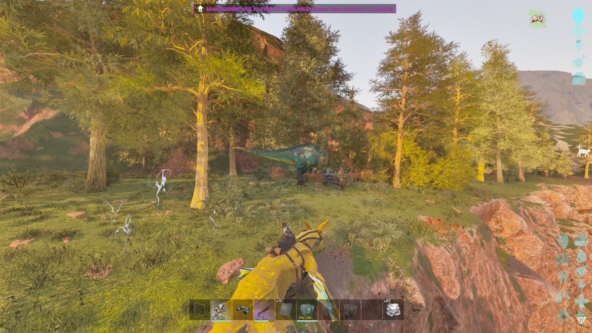 Lionwalker1218 tweet media